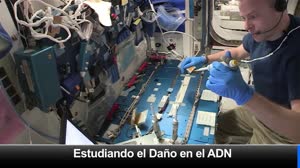 Espacio a Tierra: El ABC del ADN: 24 de Mayo 2019